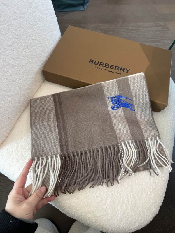 Burberry Scarf 30X180cm  E020501
